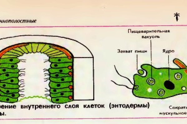 Работает ли кракен