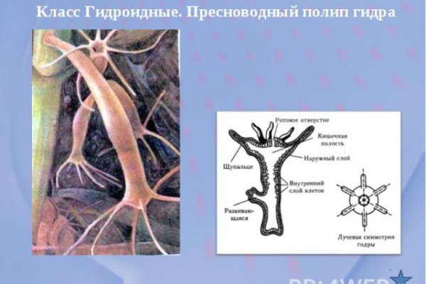 Kraken шоп что это