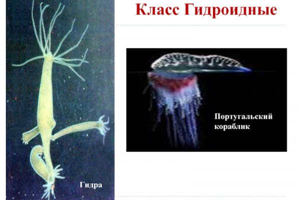 Кракен шоп ссылки