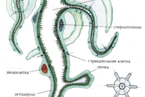 Кракен это современный маркетплейс
