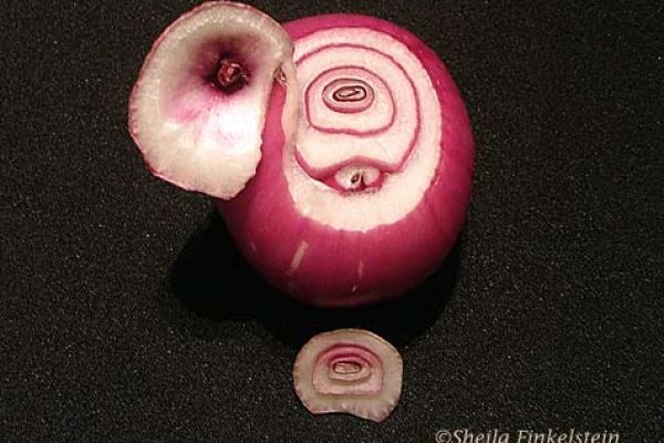 Kraken onion вход