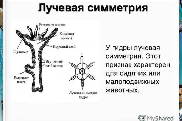 Кракен тор krakens13 at