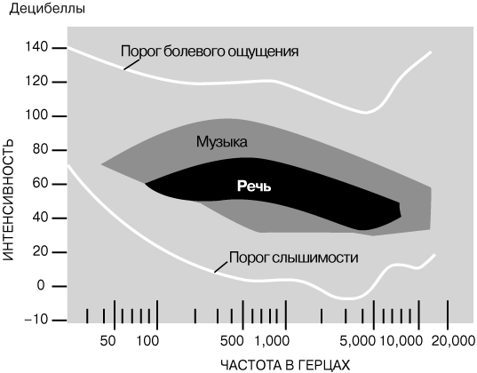 Актуальное зеркало kraken